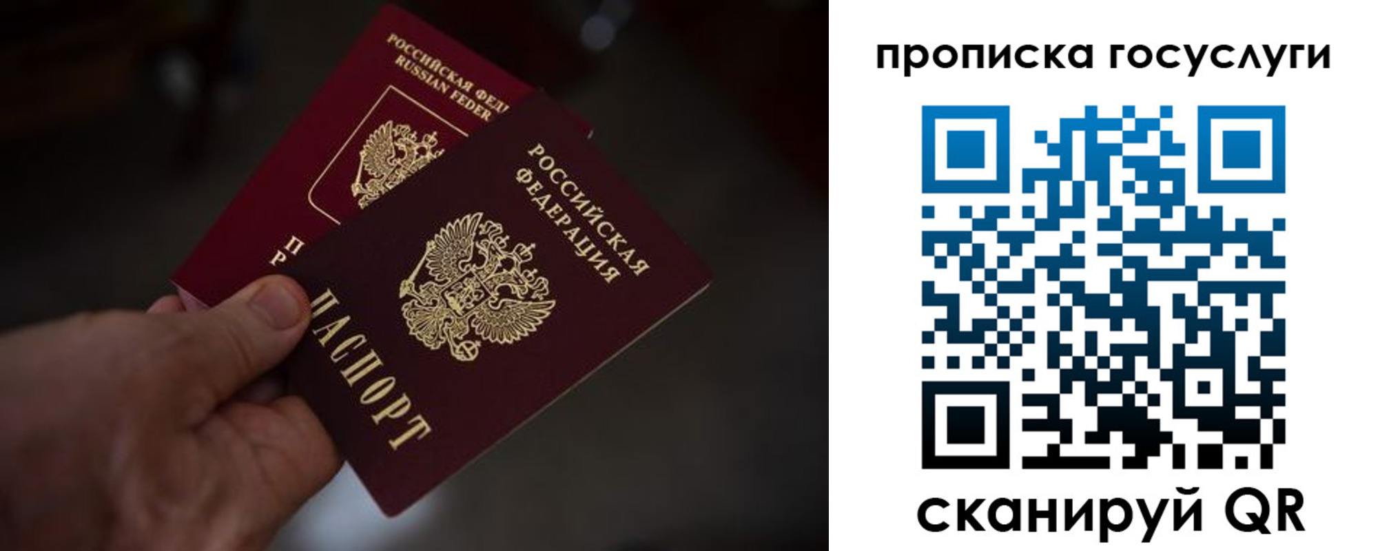прописка ребенка в Читинской области